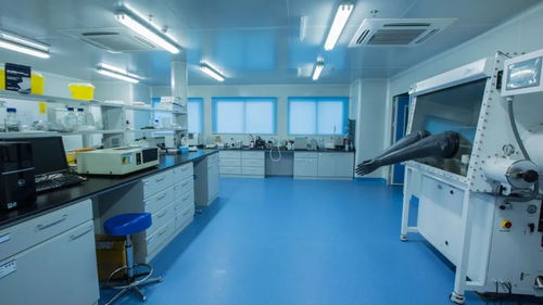 中深裝精品工程丨深圳出入境檢驗(yàn)檢疫局食品衛(wèi)生監(jiān)督實(shí)驗(yàn)室改造工程