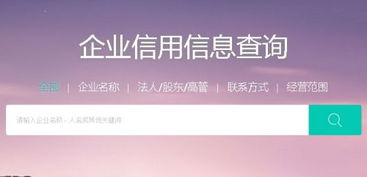 芝麻信用企業信用查詢與信息咨詢服務詳解